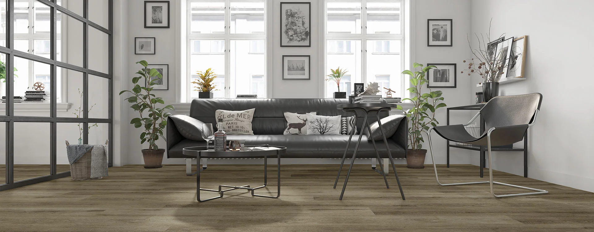 Discover Our Collections